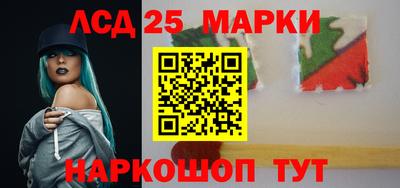 гашик Сланцы